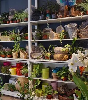Blumentoepfe_und_Koerbe.jpg