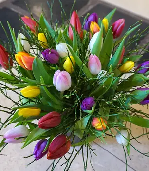 Tulpenstrauss_bunt.jpg